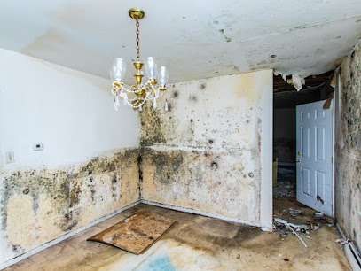 Negocio 1-800 Dry Me Out Water Damage Restoration