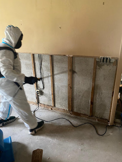 24/7 Water Flood Mold Mitigation And Restoration Insurance Claims Specialist