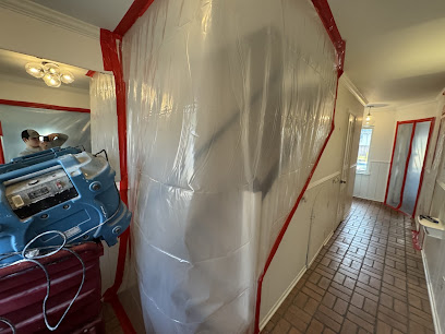 3B Mold Removal