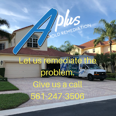 A Plus Mold Remediation Inc.