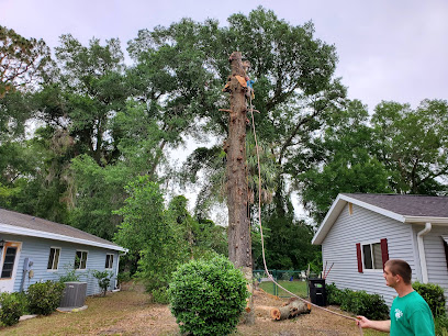 A To Z Tree Service Of Citrus County Fl