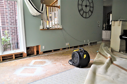 Negocio Ace Restoration Services, Llc