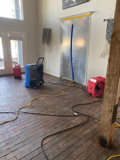 Negocio Action Plus Carpet Care & Restoration