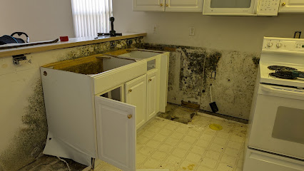 Negocio Advance Remediation Services