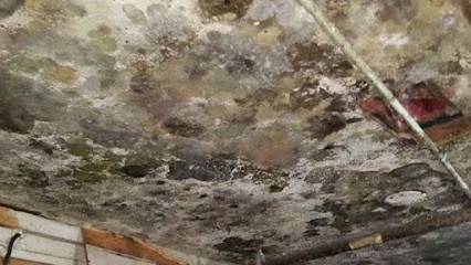 Advanced Restoration & Remediation Services Inc.