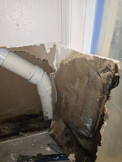 Negocio Affordable Water And Mold Removal