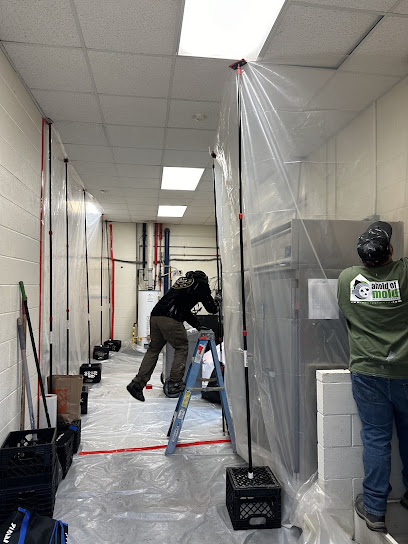 Ahold Of Mold Environmental