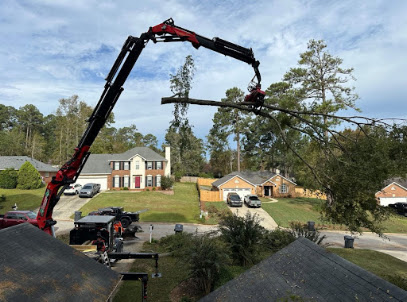 Negocio Airborne Tree Service