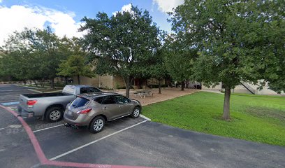 Alamo Restoration