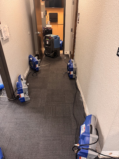 All-Brite Professional Cleaning & Water Restoration Services, Inc. Voted #1 2017 Thru 2024