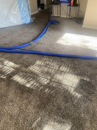All City Steam Clean