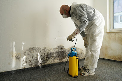 All Dry Services