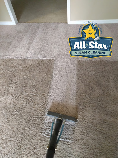 All Star Steam Cleaning