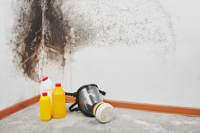 Negocio All Us Mold Removal & Remediation Longview Tx