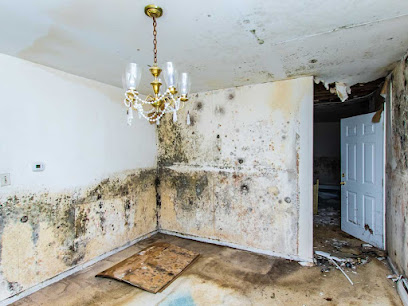 Allen Water Damage Restoration