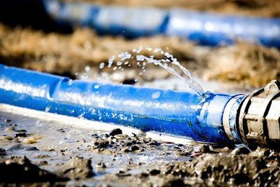 American Plumbing & Mold Testing