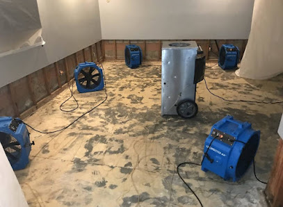 American Pro Carpet Cleaning & Restoration
