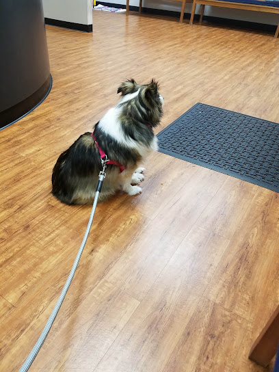 Animal Er Of Northwest Houston