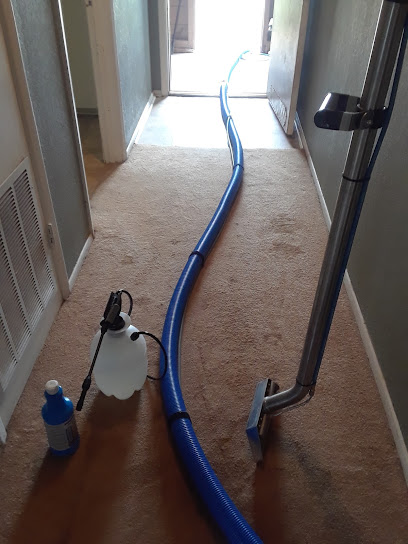 Apex Carpet Cleaning