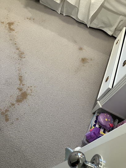 Negocio Aqualux Carpet Cleaning