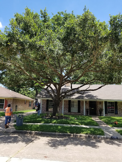 Arborez Houston