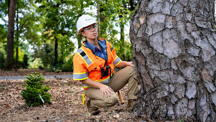 Negocio Bartlett Tree Experts