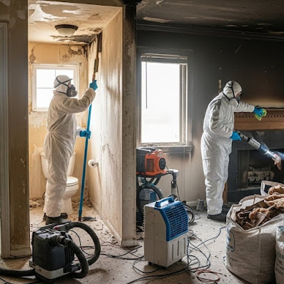 Bayshore Restoration Tampa