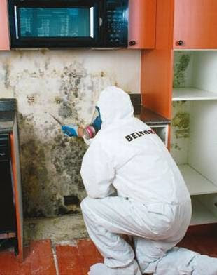 Belfor Property Restoration