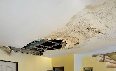 Negocio Belfor Property Restoration