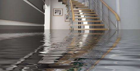 Negocio Bell Water Damage Restoration