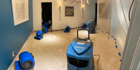 Bernhardt Mold Inspection, Remediation, And Restoration