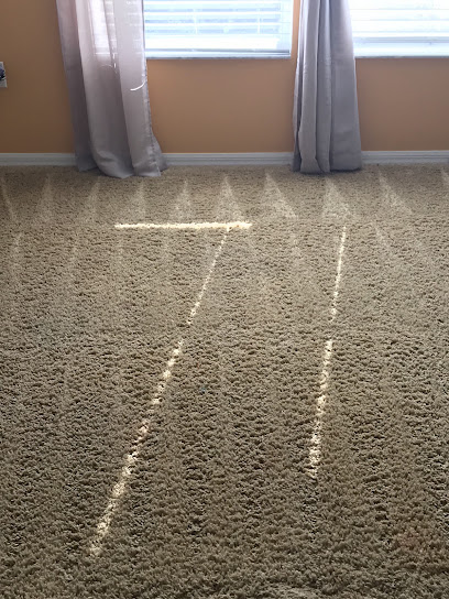 Best Care Carpet Cleaning