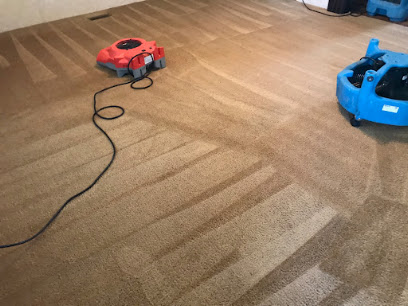 Negocio Best Carpet Cleaning Experts