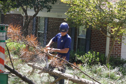 Big Bend Tree Service Llc