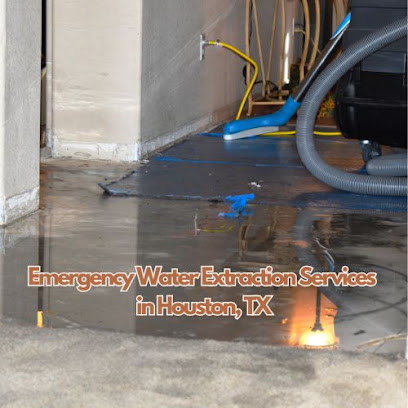 Bionic Water Damage Restoration Of Houston