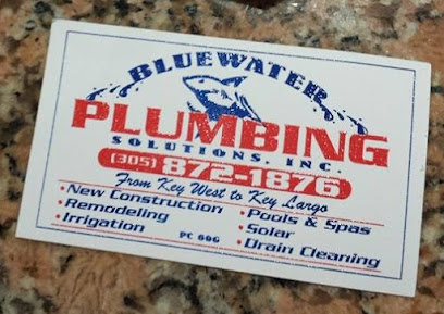 Blue Water Plumbing Solutions - For All Your Plumbing And Excavation Needs!