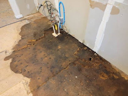 Negocio Blueguard Water Damage Restorations Humble Tx