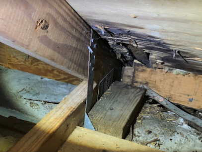 Negocio Boca Raton Water Damage Restoration Pro