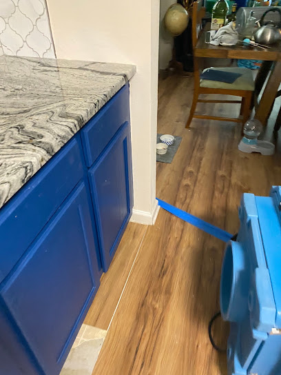 Negocio Brevard Mold Inspection & Removal