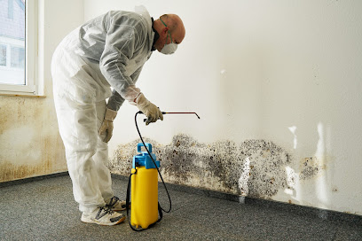 Negocio Brock Water Damage Restoration