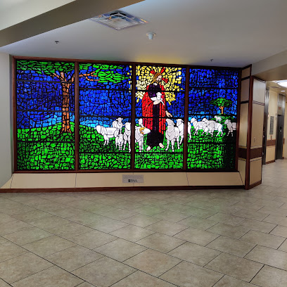 Bsa Hospital