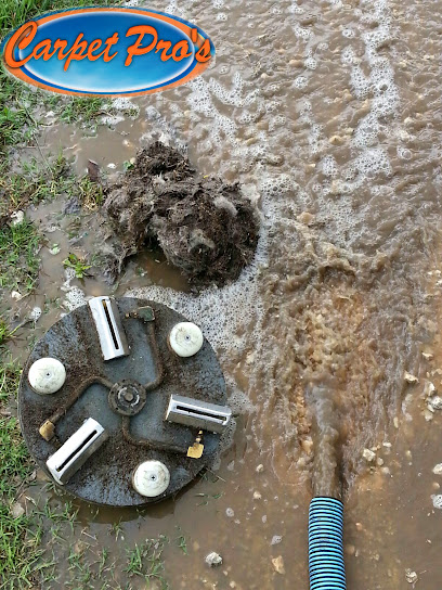 Negocio Carpet Pro's