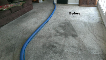 Negocio Carpet Scene Investigator