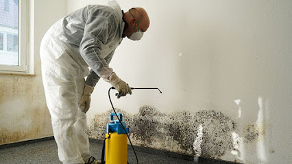 Catstrong Mold Inspection Of San Antonio