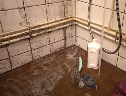 Certified Mold & Water Damage Restoration Of Tampa