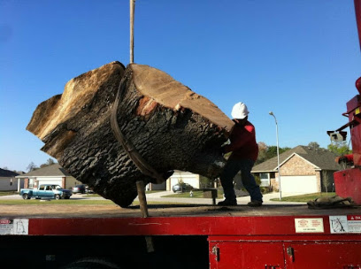 Champions Tree Preservation