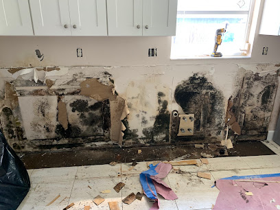 Negocio Coastal Mold & Water Removal