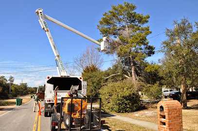 Coastline Tree Service