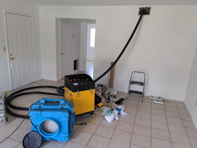 Cocoa Mold Removal
