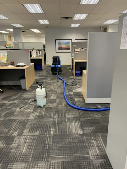 Commercial Carpet Cleaning Houston.